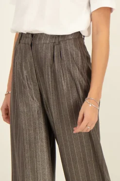 My Jewellery Pantalon à Fines Rayures Gris Métallisé Best