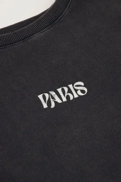 My Jewellery Sweat Paris Fleuri Gris Best