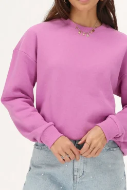 My Jewellery Sweat Rose "Fleur Sauvage" Rose/Vieux rose Sale